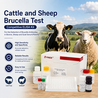 Kit ELISA vétérinaire certifié CE prix d'usine pour vache, bovin, mouton, chèvre OEM/ODM Brucellose Kit ELISA