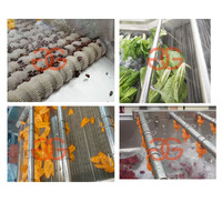 Doorlopende Fruitgroentesalade Tomatenreiniging Drooglijn Datum Appelwasmachine Aardbei Zoete Aardappel Wasmachine