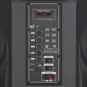 Alta calidad profesional BT Subwoofer Karaoke 15 pulgadas <span class=keywords><strong>DJ</strong></span> al aire libre Trolley altavoces corneta amplificada - Product Image 3