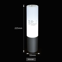 Lampe de table LED rechargeable DMX télécommandée en gros, en ABS, forme cylindrique, idéale pour les remises de diplômes, Diwali, Ramadan – Nouveauté !