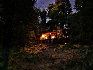 2 chambres <span class=keywords><strong>cabane</strong></span> en forêt, <span class=keywords><strong>cabane</strong></span> en forêt, <span class=keywords><strong>cabane</strong></span> en forêt pour les vacances en famille - Product Image 5