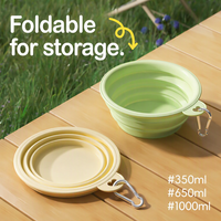 Bol pliable pour animaux de compagnie en TPE, bol à nourriture et à eau pour chien et chat, plat d'alimentation pliable pour les voyages et les sorties