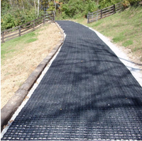 Pavés à gazon Tufftrack Grilles à gazon en plastique Pavés à gazon poreux