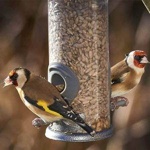 Outdoor Hard Plastic Vogel Feeder Pinda Feeders voor Tuin Buiten Cardinals Buis <span class=keywords><strong>Sparrow</strong></span> Zonnebloem Feeders - Product Image 5