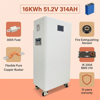 Batterie verticale Huanchu en stock avec BMS JK 200A V19 51.2V 48V 16kWh 314Ah, batterie au lithium pour stockage d'énergie solaire