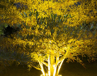 Projecteur LED d'extérieur étanche 220V pour éclairage d'arbre, coloré, haute tension, avec anneau inséré pour piliers