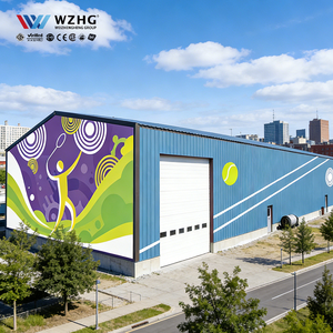 Pabellón de Pádel Sostenible con Estructura de Acero PEB de Techo Transparente, con 50 Años de Vida Útil y Superficie Galvanizada para Proyectos Municipales Modernos - Product Image 1