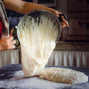 Potencia de <span class=keywords><strong>levadura</strong></span> <span class=keywords><strong>seca</strong></span> instantánea activa 500g 450g 400g 125g 100G 5G 10g 5kg 10kg Planta <span class=keywords><strong>para</strong></span> <span class=keywords><strong>hacer</strong></span> <span class=keywords><strong>pan</strong></span> con alto contenido de azúcar y bajo en azúcar - Product Image 3