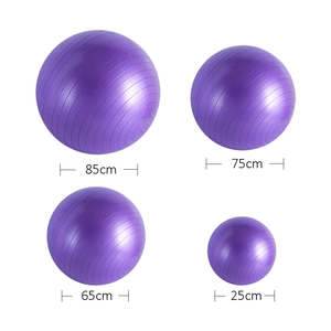 Accesorios <span class=keywords><strong>de</strong></span> <span class=keywords><strong>Yoga</strong></span> <span class=keywords><strong>de</strong></span> PVC con Logotipo Personalizado, <span class=keywords><strong>Pelota</strong></span> <span class=keywords><strong>de</strong></span> Ejercicio <span class=keywords><strong>de</strong></span> <span class=keywords><strong>Yoga</strong></span> <span class=keywords><strong>Grande</strong></span>, Portátil y Duradera <span class=keywords><strong>de</strong></span> 55 cm, 65 cm, 75 cm para Fisioterapia - Product Image 2