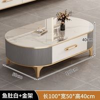 Table basse en pierre de luxe légère 2024 et combinaison de meuble TV ovale moderne, mobilier simple pour petits appartements