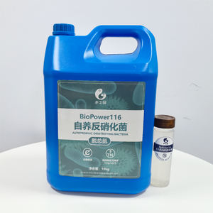 แบคทีเรียไบโอพาวเวอร์116 แบบออโต้ทรฟิก สำหรับการกำจัดไนเตรตในน้ำเสีย ออกซิเดชันแอมโมเนียแบบไม่ใช้ออกซิเจน ไนเตรตสูง ไนโตรเจนสูง น้ำเสีย โปรไบโอติกส์รวม - Product Image 2