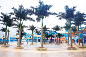 Nhà Máy Tùy Chỉnh Nhân Tạo Hoàng Gia Cây Cọ Lớn Giả Nhiệt đới Sợi Thủy Tinh Palm Cây Dừa Cho Khách Sạn Khu Nghỉ Mát Vườn Trang Trí Nội Thất - Product Image 2