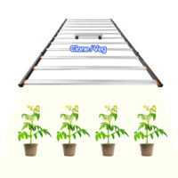 Lampes LED de culture de tomates en aluminium 4x8' pour clonage, croissance végétative et floraison, hydroponie, agriculture verticale intelligente, automatique 800W