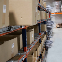 Sistema de Recolección Automatizado Personalizado con Tecnología Pick-to-Light, Acero al Carbono, Almacenamiento Industrial para Almacenes, Alta Capacidad, 10000 Palés/Mes