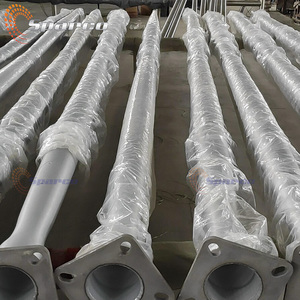 3M 5M 8M Ngoài Trời Thép Không Gỉ Cực Ánh Sáng Đường Cao Tốc Nhôm Cột Ánh Sáng Nhà Máy Pride Đèn Bài - Product Image 2