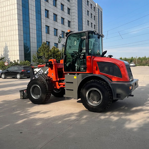 Everun er420 2000kg ce/epa מאושר מסוף גלגל מעמיס ציוד בנייה - Product Image 4