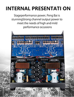 D20K Kit d'amplificateur de puissance pour subwoofer audio de classe D de 16000 watts