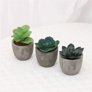 Lot de 5 plantes artificielles Greatflower durables pour <span class=keywords><strong>intérieur</strong></span> : <span class=keywords><strong>Eucalyptus</strong></span>, Romarin, Succulentes en <span class=keywords><strong>pot</strong></span> en papier pour décoration de bureau et de maison - Product Image 4