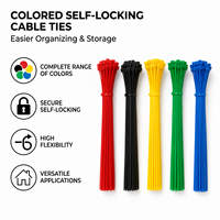 Attaches en nylon colorées 2,5x100mm prêtes à l'emploi, écologiques, boucles de fermeture éclair arc-en-ciel pour l'électronique et la gestion des câbles