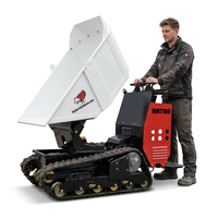 Mini-chargeuse sur chenilles motorisée pour béton, avec benne basculante, pompe hydraulique et moteur Briggs & Stratton, fabriquée en Chine