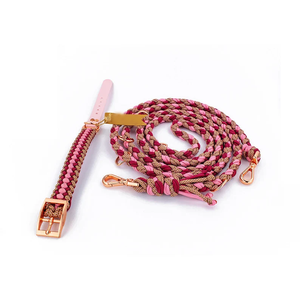 Correa y collar de perro tejido a mano Paracord hecho a mano para collar de cachorro y juego de correa - Product Image 1