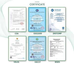 Gommose OEM di Complesso Vitaminico <span class=keywords><strong>B</strong></span> Metilato con Vitamine D3, K2, Ashwagandha, Magnesio, <span class=keywords><strong>Omega</strong></span> 3, CoQ10 e TMG - Product Image 6