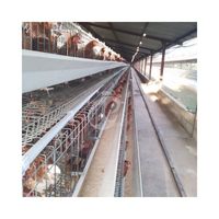 Conception de dessin Cages de batterie de poulet de couche de ferme avicole pour 5000 couches