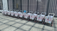Chariot à glaces mobile personnalisé imprimé, glacière isotherme portable en acier inoxydable pour stand de rue
