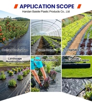 Toile de paillage tissée en polypropylène en rouleau pour la suppression des mauvaises herbes dans les vergers, la couverture du sol des vignobles et la production de fruits