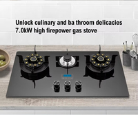 Table de Cuisson à Gaz Encastrable avec Brûleur Réversible, Appareil de Cuisine Domestique Compatible GPL et Gaz Naturel – Fabrication Chinoise