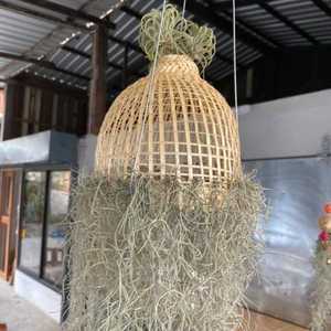 Bamboo Hanging Lamp Pendant Light Asian Oblong Repurposed <b>Fish</b> <b>Trap</b> Ceiling Lamp Air Plant Holder Vietnam Supplier - Product Image 5