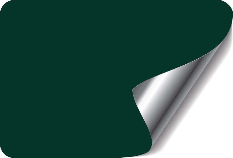 Charcoal Green / Silver