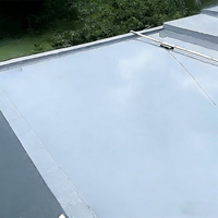 Longpu - Revêtement Liquide Flexible - Polyurée H3 Version Haute Élasticité - Étanchéité Toiture & Salle de Bain - Revêtement Écologique Résistant aux UV