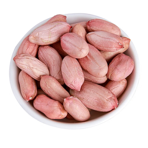 Arachides de qualité supérieure 100% naturelles, grillées et séchées en coque, prix direct usine pour l'exportation de snacks - Product Image 1