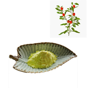 Extrait d'Ashwagandha instantané débitteré, à base d'extraits naturels de plantes, très peu amère, hydrosoluble, 5,0 % de Withanolides en poudre - Product Image 1