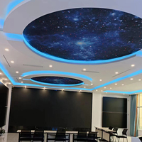 Système de plafond à projection d'étoiles Dimmable Night Sky Effect Matériau ignifuge Restaurant Spa Salle de mariage Éclairage d'ambiance