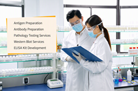 Kit ELISA de détection quantitative de l'ostéopontine humaine (OPN) pour la recherche en laboratoire