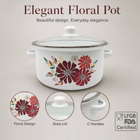 Casserole en émail de 20 cm avec couvercle en verre blanc, imprimé floral coloré, poignée en D, pour cuisine, soupes et lait, vente en gros usine