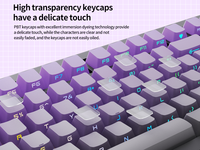 Teclado Mecánico ZORNHER ZH870 Morado Medianoche con Retroiluminación RGB, Tri-Modo, Bajo Ruido y Estructura Gasket