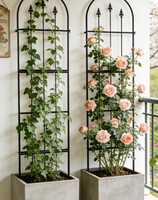 Lot de 2 treillis de jardin métalliques à forme personnalisée, compatibles avec la récupération de l'eau de pluie, pare-vent vertical, pour la protection des toits et des terrasses
