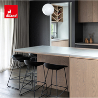 Alland Nouveaux designs d'îlots de cuisine en contreplaqué stratifié, finition noire mate, style moderne, pour placards de garde-manger, directement de Chine