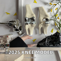 Nouveau modèle 2026 de mannequin détachable pour l'implantation de prothèse de genou double articulée en argent, idéal pour la science médicale et la formation en prothèses de genou.