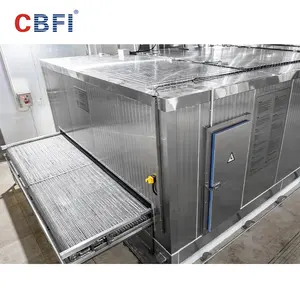 Túnel congelador para peixes equipamento de congelamento Iqf