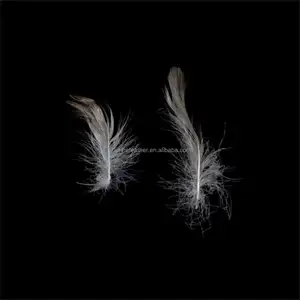 Factory Direct Sales 5-8cm Washed Grey Duck Feather