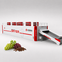Shouchuang OEM/ODM industriële continue mesh-belt fruitdroogmachine voor het drogen van verse druiven tot rozijnen.