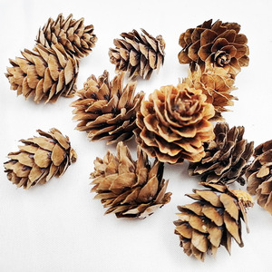 Adornos de Piñas de Pino en Miniatura de 1.5-4cm, Madera Seca Blanca, Decoración para Árbol de Navidad, Suministros para Manualidades - Product Image 4