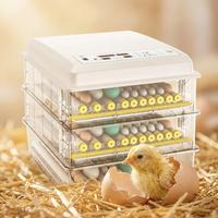 Incubateur à œufs automatique de haute qualité 158/168/176 œufs pour poulets, canards, cailles, dindes, œufs 220V, taux d'éclosion élevé