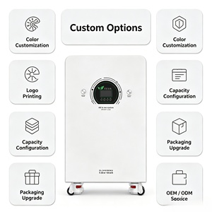 Sistema <span class=keywords><strong>di</strong></span> Accumulo Energetico Tutto in Uno per Campeggio all'Aperto, AC220V 8KWh 16KWh, Batteria Solare LiFePO4 con Inverter e Controller Integrati - Product Image 5
