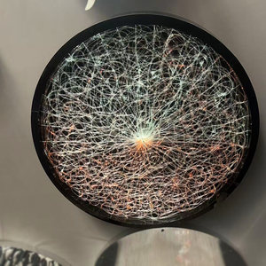 Sợi quang dẫn ánh sáng Kit với Twinkle ánh sáng sao ứng dụng điều khiển RGB phát ra Dimmable ánh sáng Trần - Product Image 1