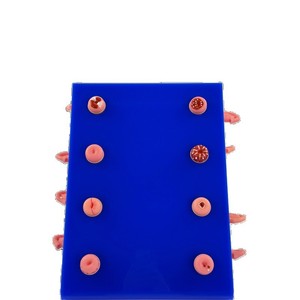 Matériel pédagogique de simulation gynécologique : Modèle de lésion utérine médicale ; 8 modèles anatomiques de malformations utérines. - Product Image 4